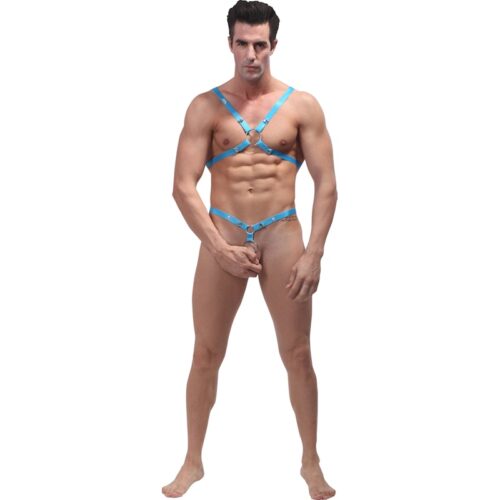 Male Power Rip Off Harness Set