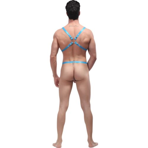 Male Power Rip Off Harness Set - Image 3
