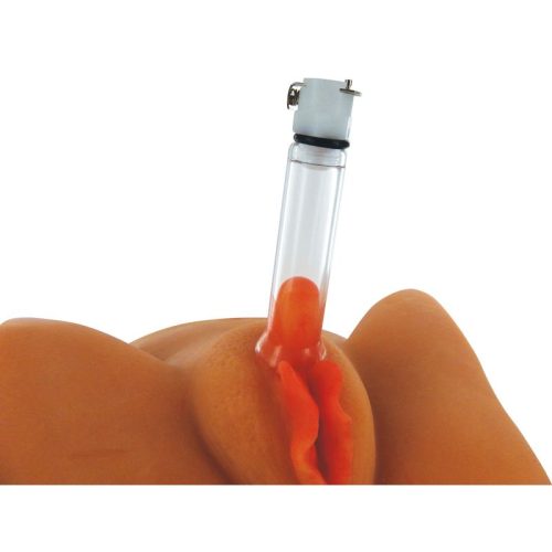 Clitoral Pumping System - Image 4