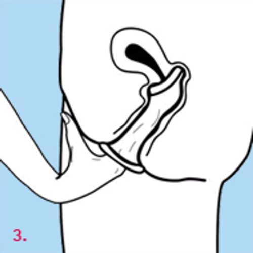 Femidom 3 Pc - Image 4