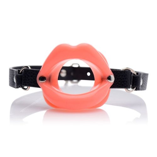 Sissy Mouth Gag - Image 4