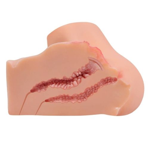 Onahole Pussy and Ass 1:1 Torso - Image 5
