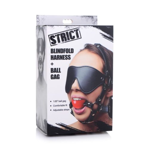 Blindfold Harness w Ball Gag - Image 3