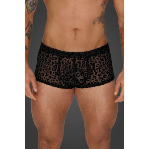 Leopard Flock Short Shorts - Image 4