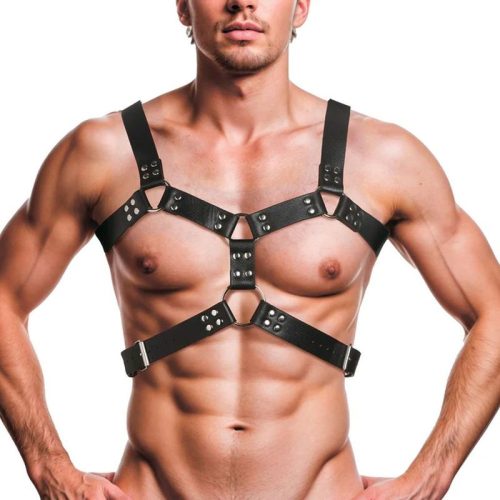 6 O-Ring Chest Harness - Image 4