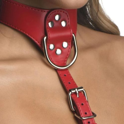 Red Female Chest Harness M/L - Image 5
