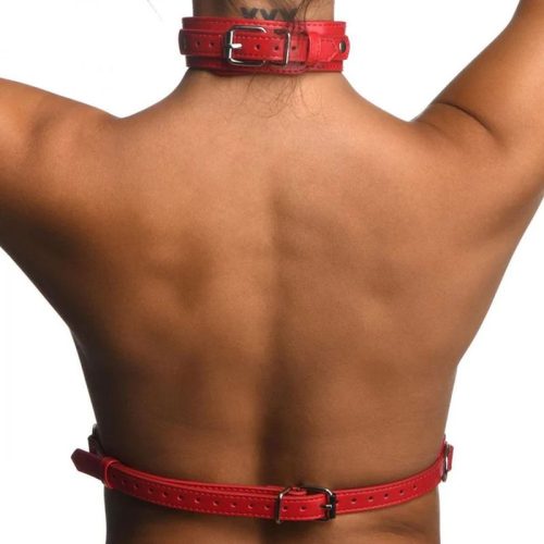 Red Female Chest Harness M/L - Image 7