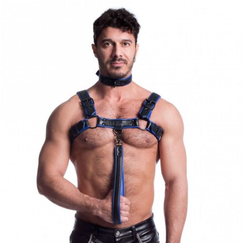 Vegan Bulldog Harness Black and Blue - Image 3