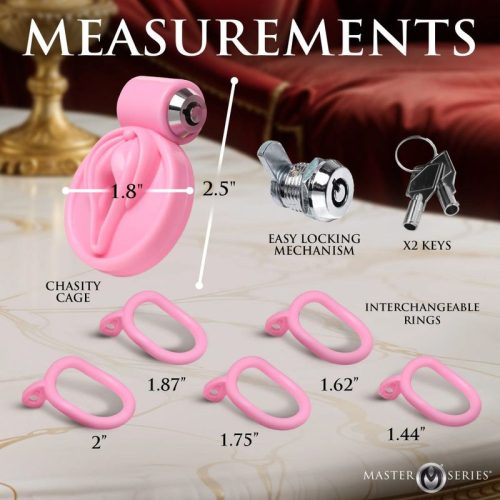 Pussification Vulva Chastity Cage - Image 3