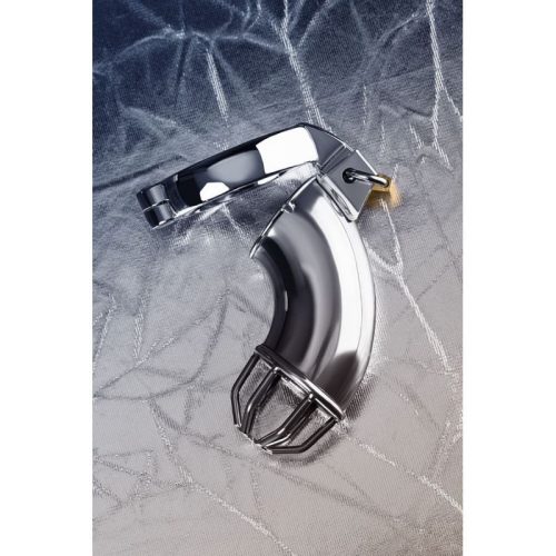 Silver Metal Cock Cage w Rings and Lock - Image 4