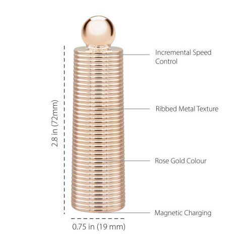 Pillow Talk Secrets Desires 6 Pc Massager Set - Image 3