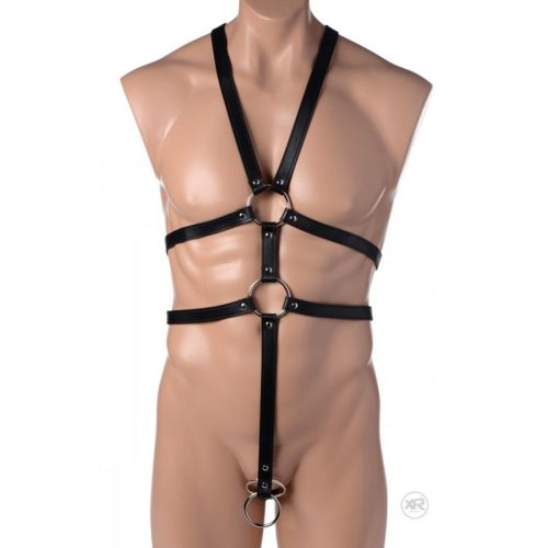 Male Full Body Harness - Image 3