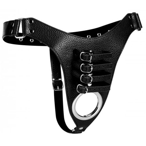 Male Chastity Harness - Image 4