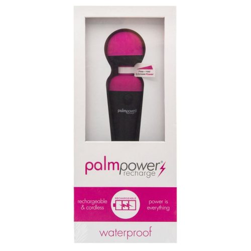 PalmPower Massage Wand Recharge Waterproof