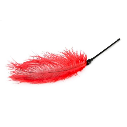Feather Tickler Red - Image 4