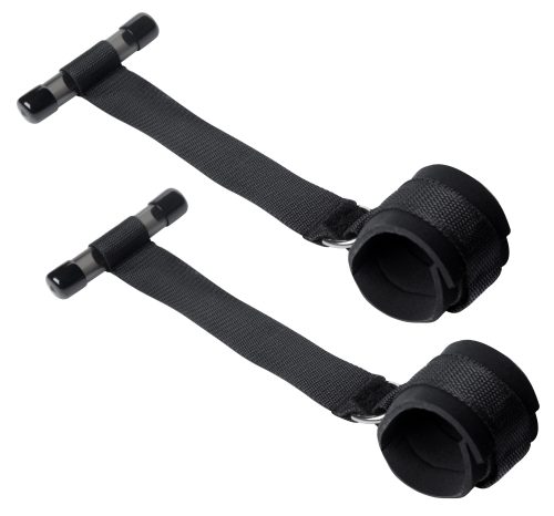 Entryway Door Restraints - Image 4