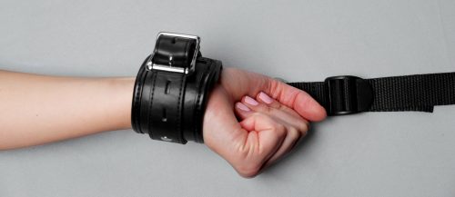 Bed Restraint Kit - Image 3