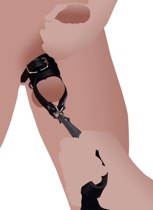 Strict Ball Stretcher With Leash - Image 7