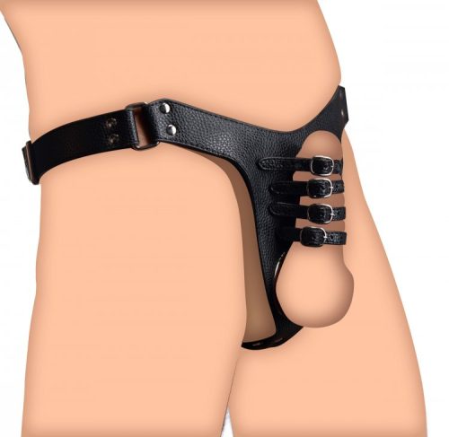 Male Chastity Harness - Image 3
