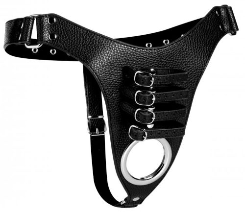 Male Chastity Harness - Image 4