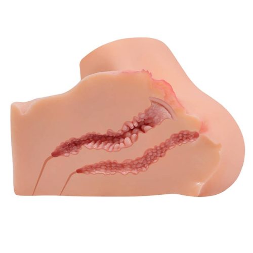 Onahole Pussy and Ass 1:1 Torso - Image 5