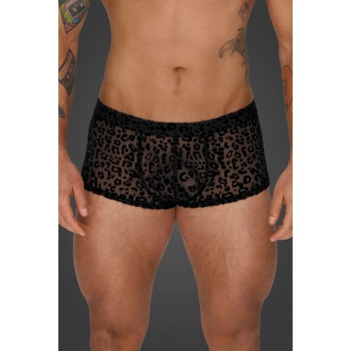 Leopard Flock Short Shorts - Image 3