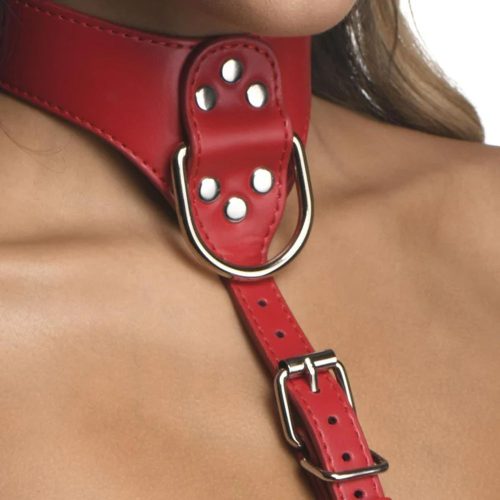 Red Female Chest Harness S/M - Image 5