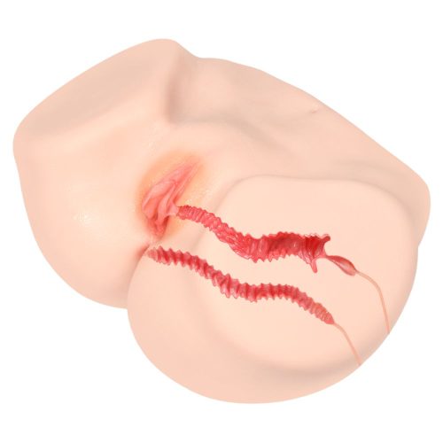 Vanilla Onahole Edn 4 Pussy and Ass 1:1 Torso - Image 4